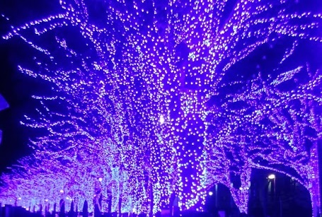 青の洞窟